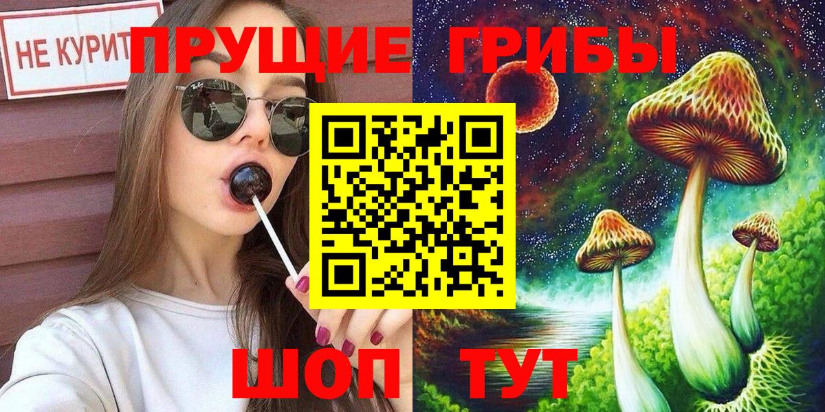 Псилоцибиновые грибы Cubensis Волжский