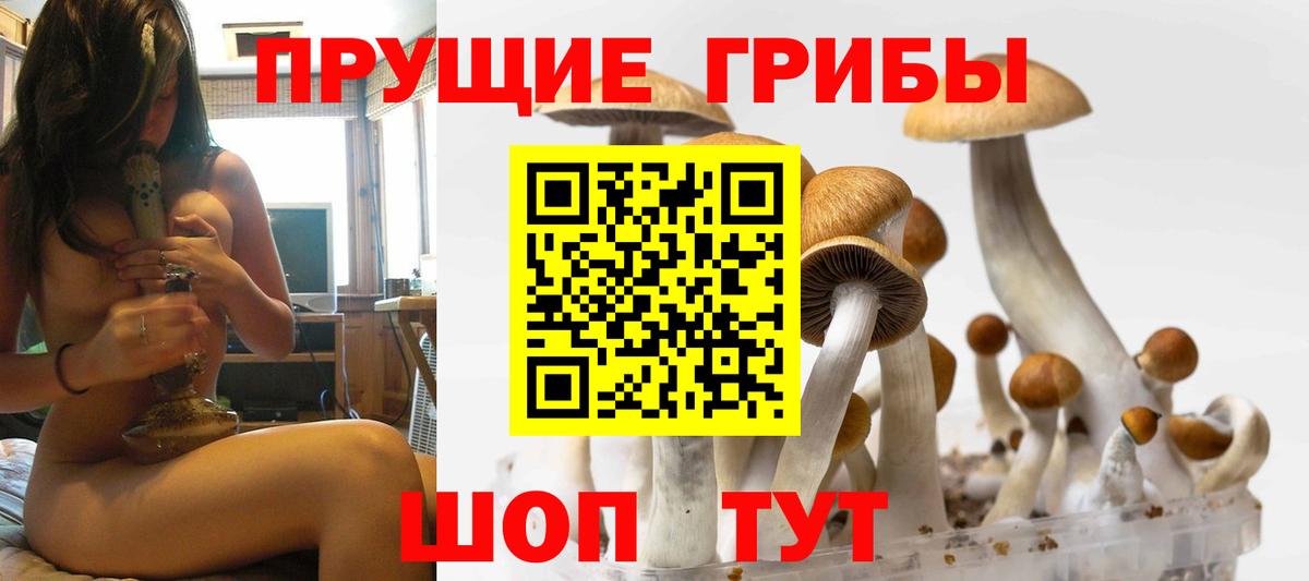 Псилоцибиновые грибы GOLDEN TEACHER  Вход с VPN  Волжский  Псилоцибиновые грибы прущие грибы 